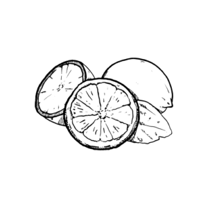 illustrerad bild av citroner